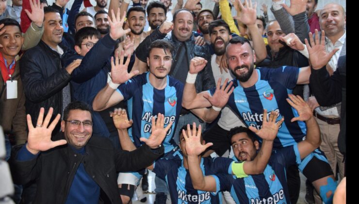 Viranşehir Belediye spor, ligi 2. Sırada tamamladı