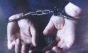 Emniyet siber suçluların peşini bırakmıyor: Şanlıurfa’da 12 kişi gözaltına alındı!