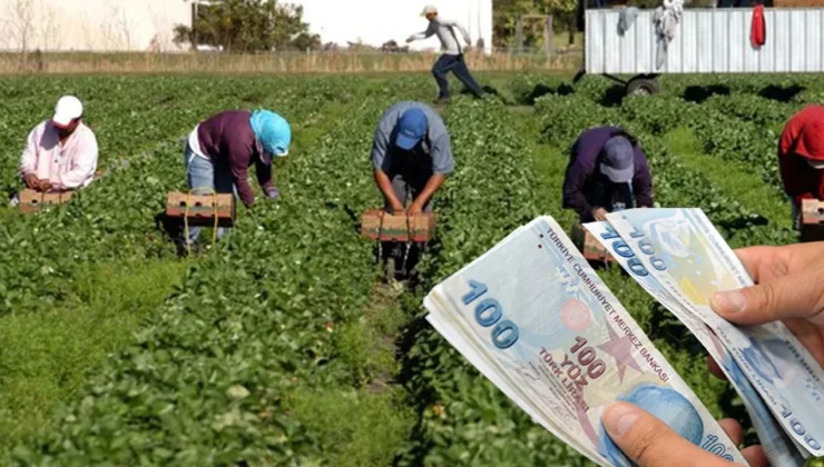 Tarımsal desteklemeler hesaplara aktarıldı